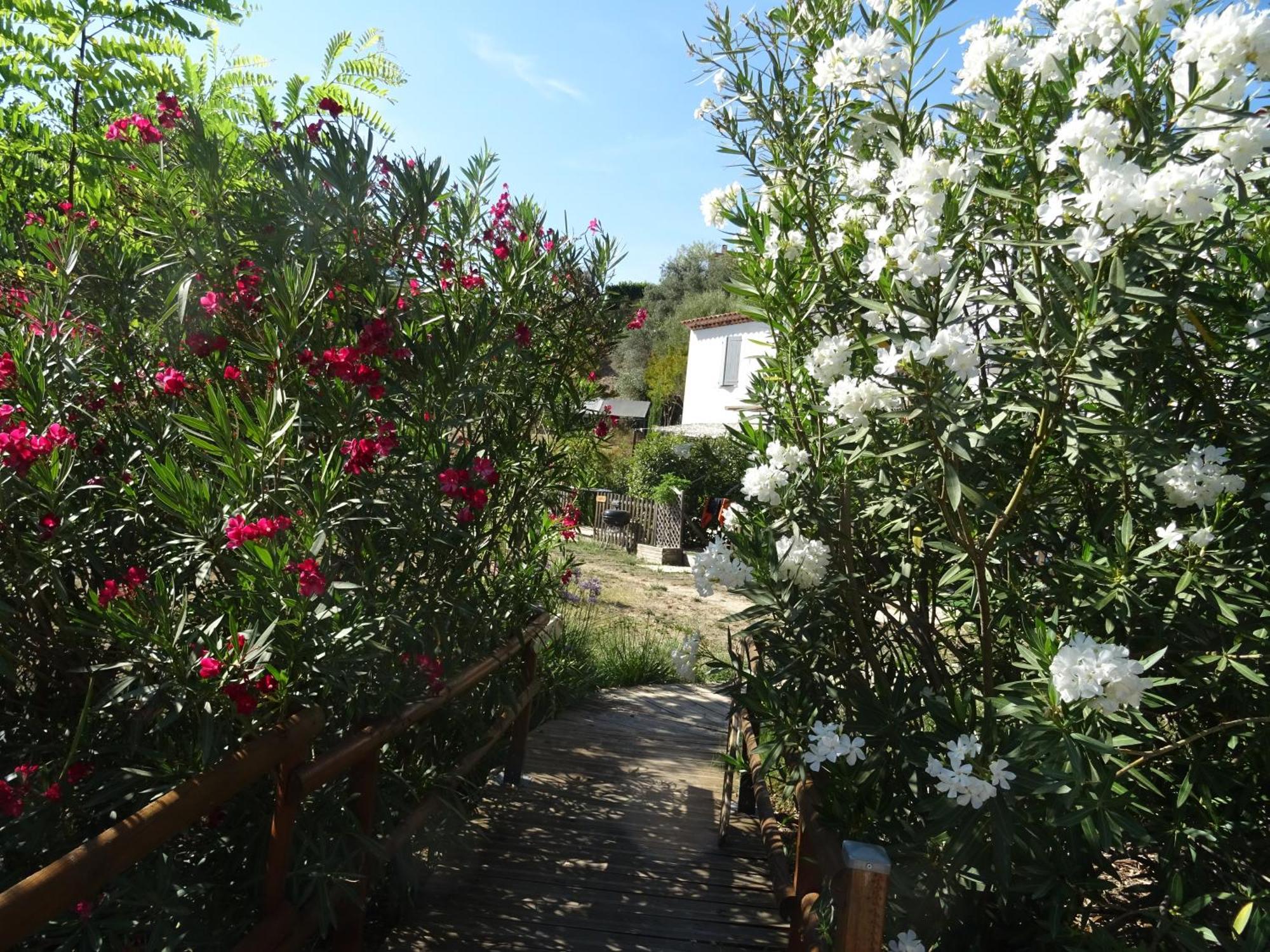 Les Ecrins D'Aix-En-Provence别墅 外观 照片